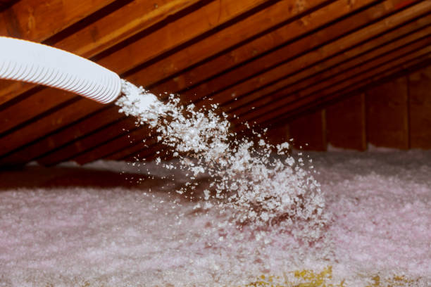 Best Blown-in Insulation in Bangs, TX
