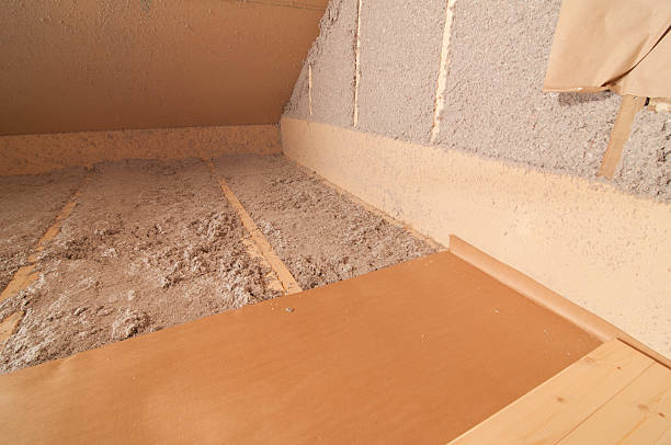 Best Geographic-Specific Insulation Services in Bangs, TX