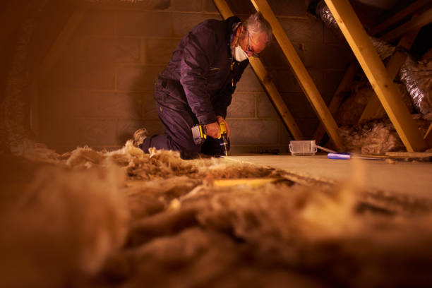 Best Insulation Maintenance and Repair in Bangs, TX